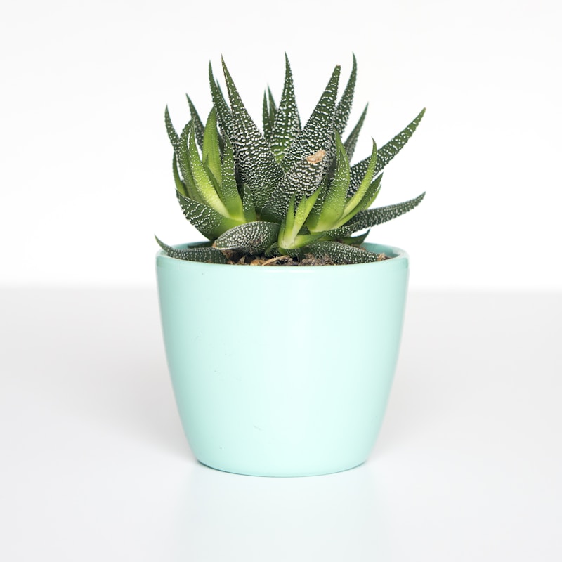 Hand-Thrown Terracotta Pot — 22 cm