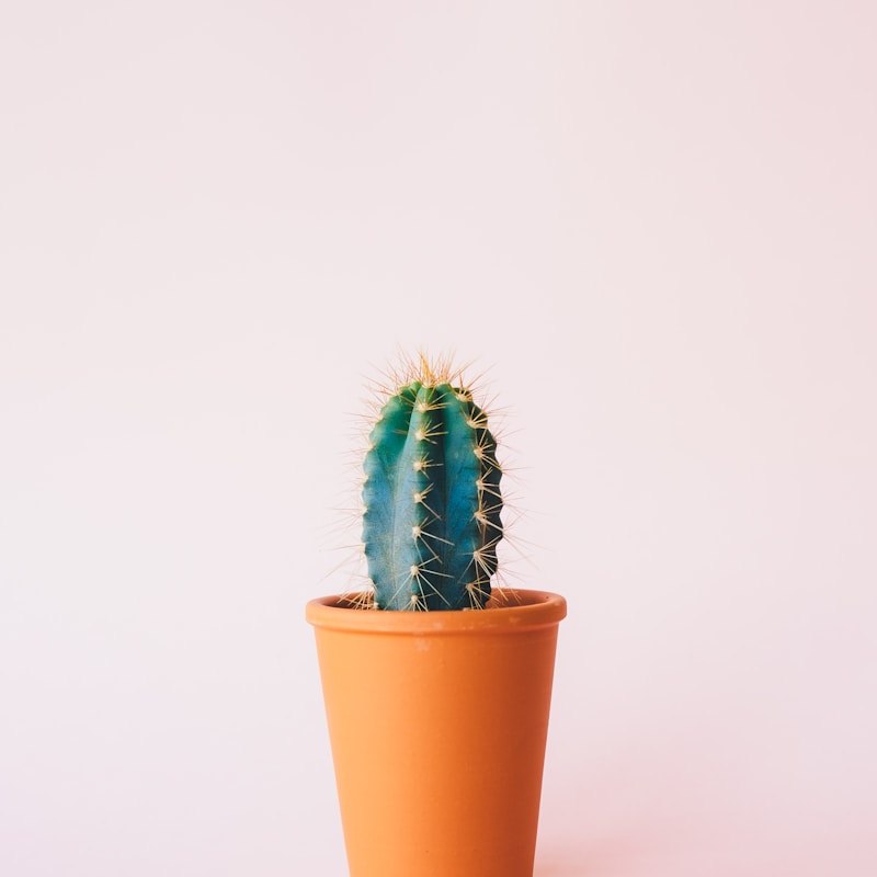 Hand-Thrown Terracotta Pot — 30 cm